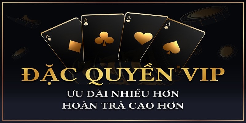 Chương trình VIP 69vn - Đãi ngộ độc quyền dành cho hội viên