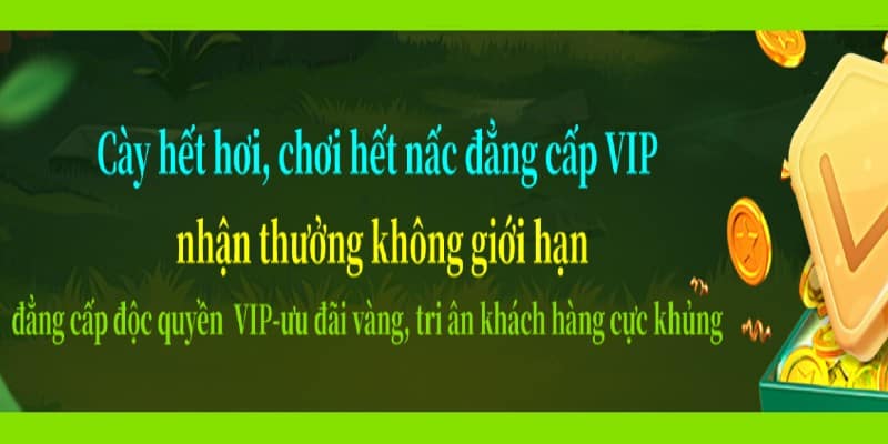 Chương trình VIP 69vn - Đãi ngộ độc quyền dành cho hội viên