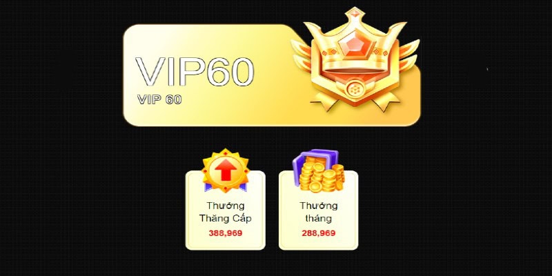 Chương trình VIP 69vn - Đãi ngộ độc quyền dành cho hội viên